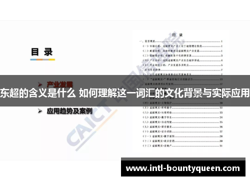 东超的含义是什么 如何理解这一词汇的文化背景与实际应用 东超的含义是什么 如何理解这一词汇的文化背景与实际应用