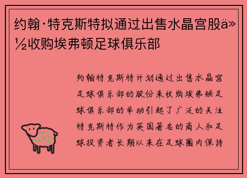 约翰·特克斯特拟通过出售水晶宫股份收购埃弗顿足球俱乐部
